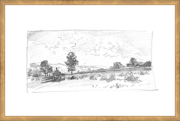 Framed Charcoal Trees 2. Frame: Timeless Gold. Paper: Rag Paper. Art Size: 19x29. Final Size: 20'' X 30''