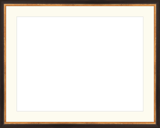 Traditional Black and Gold Frame. Opening Size: 12x16. Final Size: 16'' X 20''