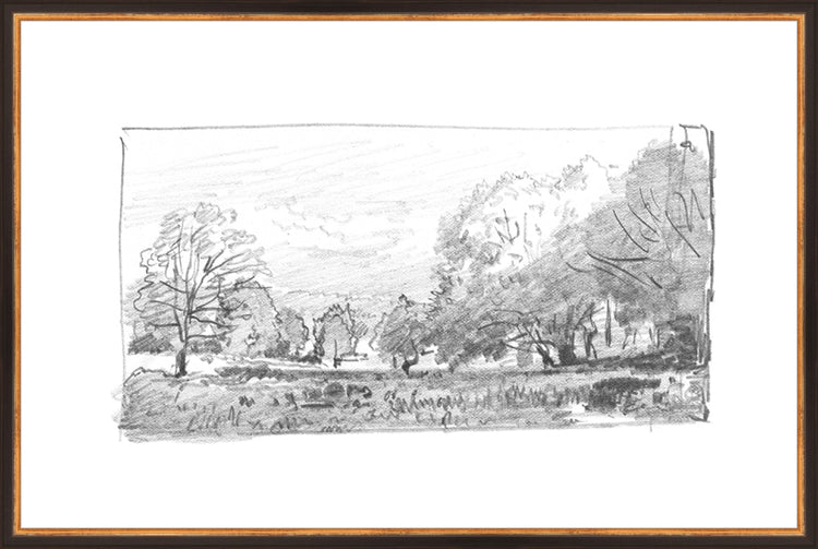 Framed Charcoal Trees 1. Frame: Traditional Black and Gold. Paper: Rag Paper. Art Size: 19x29. Final Size: 20'' X 30''