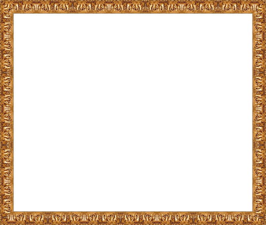 Valencia Gold Frame. Opening Size: 15x18. Final Size: 16'' X 19''