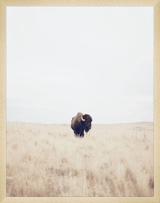 Uploaded Art:BlueBuffalo_11x14.jpg. Frame: Natural Matte Wood. Paper: Smooth Paper. Art Size: 18x14. Final Size: 18'' X 14''