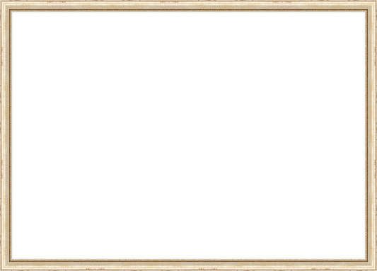 Timeless Silver Beaded Frame. Opening Size: 19x27. Final Size: 20'' X 28''