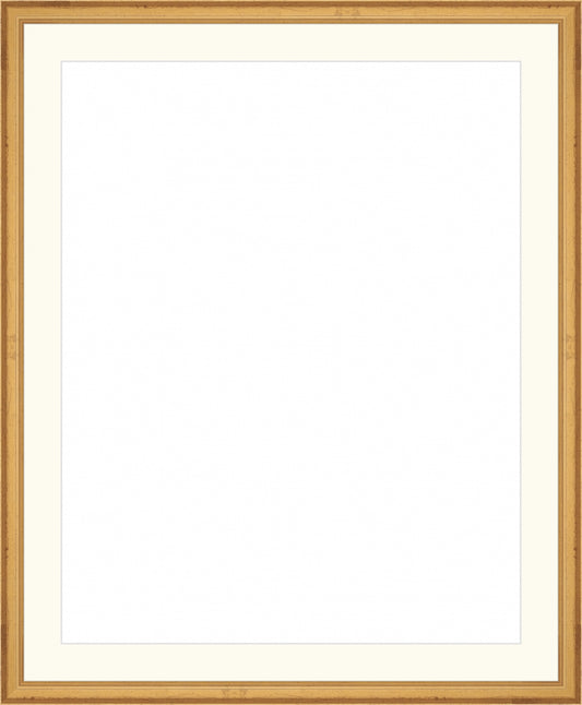 Traditional Gold Frame. Opening Size: 19x15. Final Size: 23'' X 19''