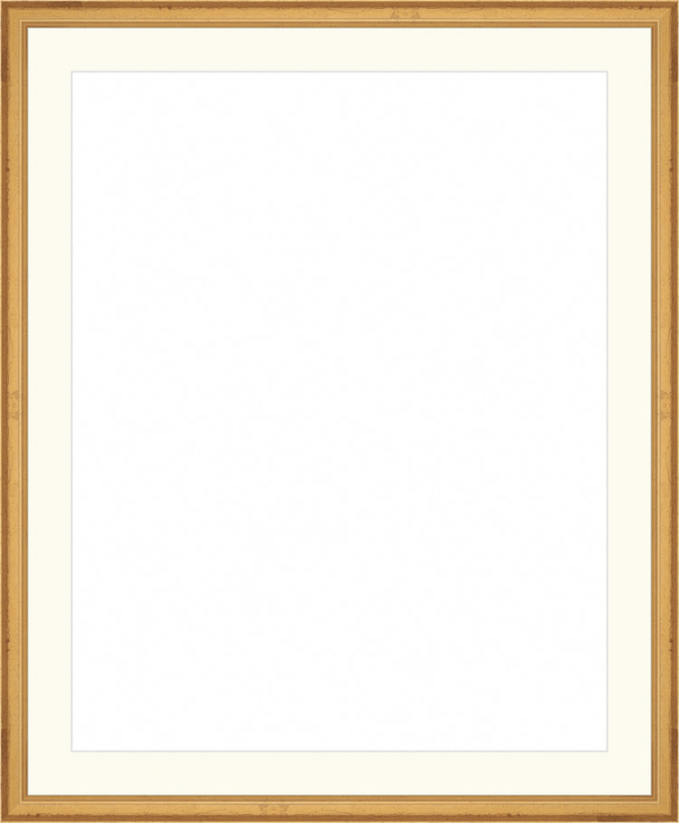 Traditional Gold Frame. Opening Size: 19x15. Final Size: 23'' X 19''