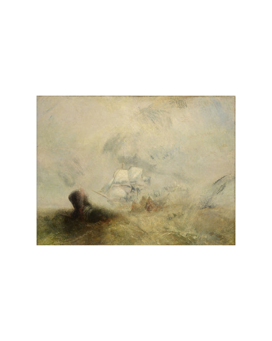 Loose Voyage