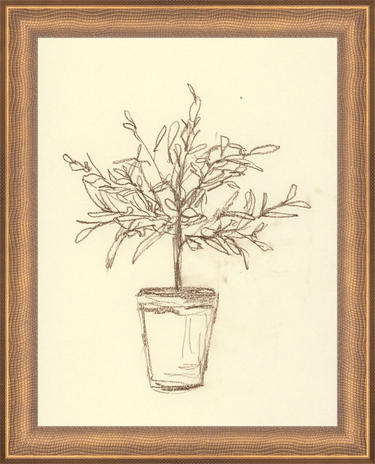 Framed Olive Tree Sketch. Frame: Timeless Bronze. Paper: Rag Paper. Art Size: 9x7. Final Size: 10'' X 8''