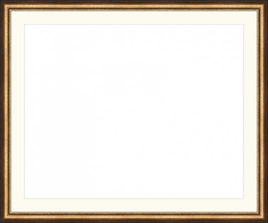 Distressed Gold and Black Frame. Opening Size: 16x20. Final Size: 20'' X 24''