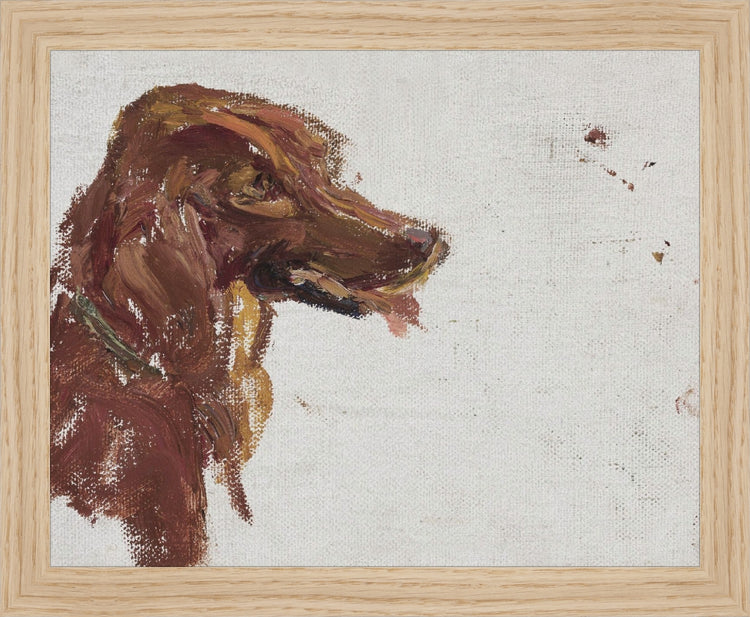 Dog Study HoJ