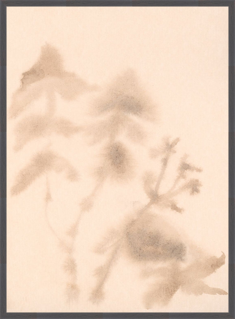 Uploaded Art:Abstract Botany Study 5 7 ratio copy.jpg. Frame: Deep Dark Brown. Paper: Rag Paper. Art Size: 40x29. Final Size: 41'' X 30''