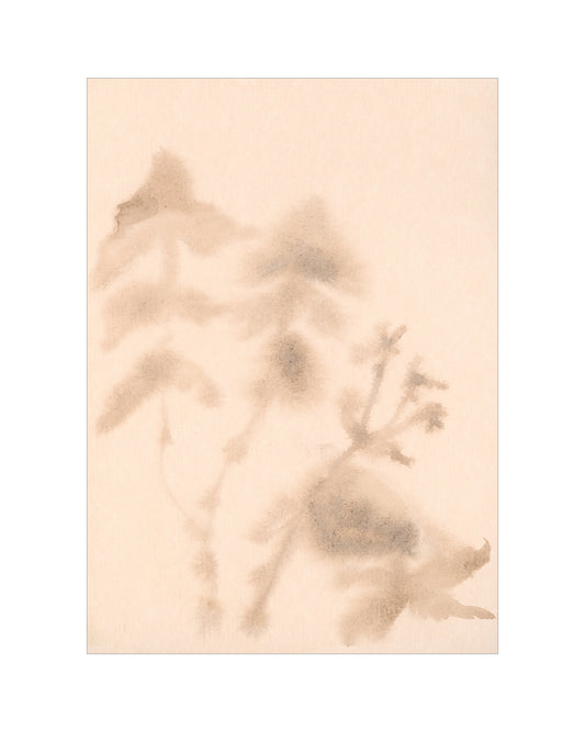 Abstract Botany Study