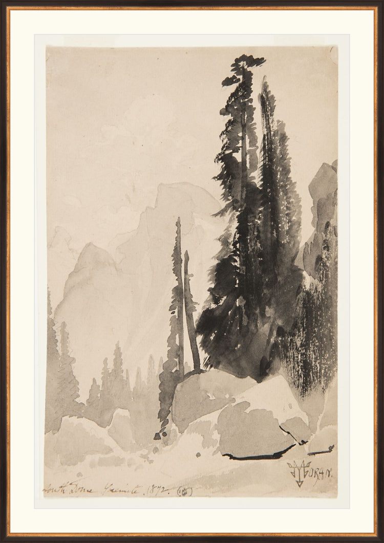 Antique Trees Drawing OAShop 2