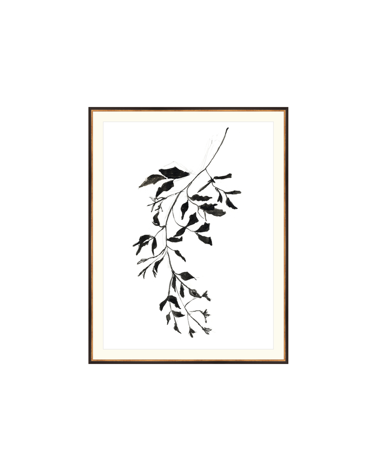 Botanical Ink Study II HoJ