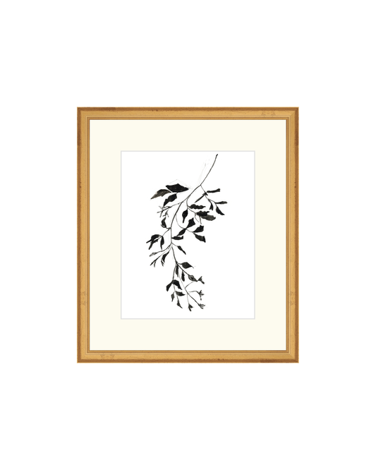 Botanical Ink Study II HoJ