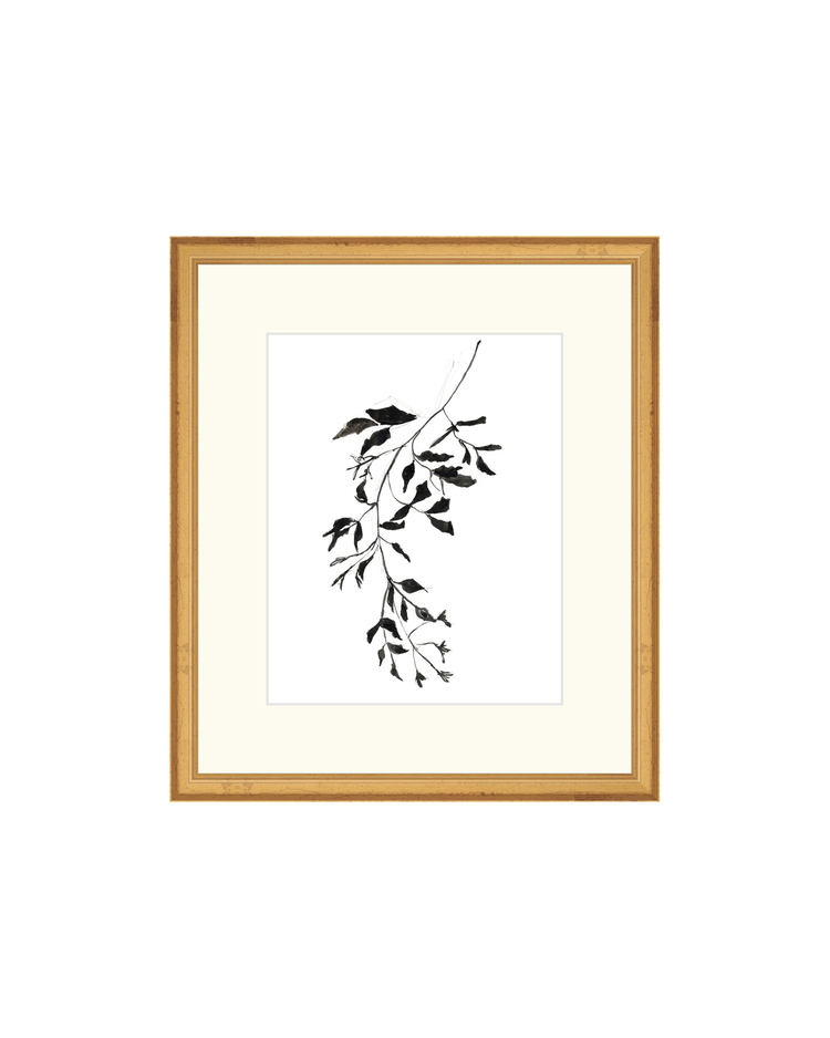 Botanical Ink Study II HoJ