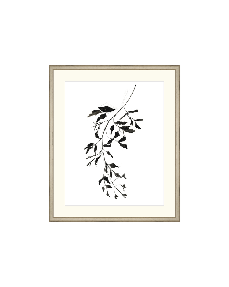 Botanical Ink Study II HoJ