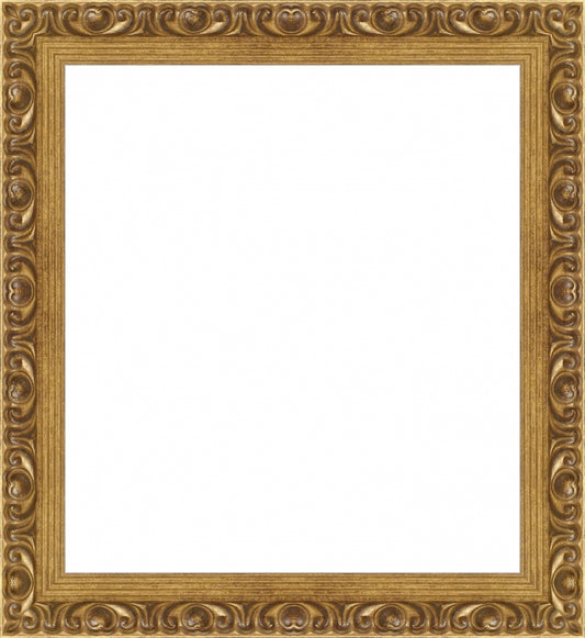 Gold Ornate Frame. Opening Size: 10x9. Final Size: 12'' X 11''