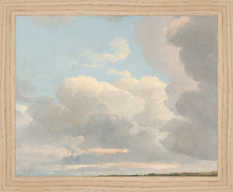 Morning Calm OAShop 2