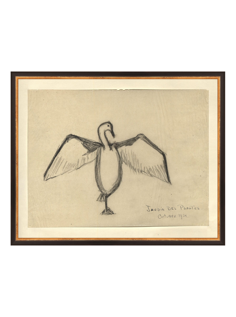 The Great Cormorant HoJ 2