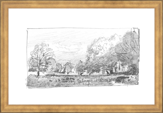 Framed Charcoal Trees 1. Frame: Timeless Gold. Paper: Rag Paper. Art Size: 10x15. Final Size: 11'' X 16''