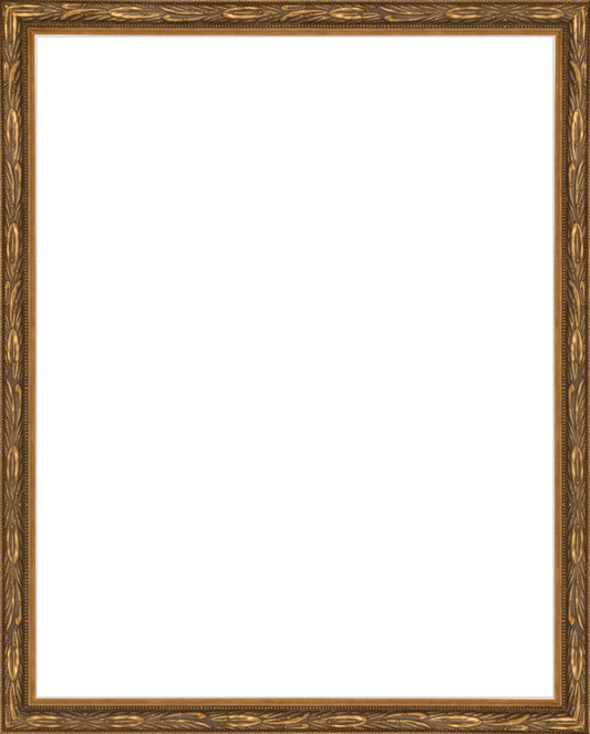 Embellished Antique Gold Frame. Opening Size: 14x11. Final Size: 15'' X 12''
