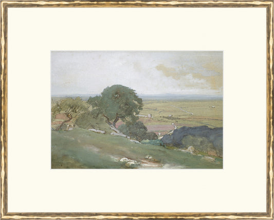 Framed Olivos. Frame: Gold Textured. Paper: Rag Paper. Art Size: 9x13. Final Size: 16'' X 20''