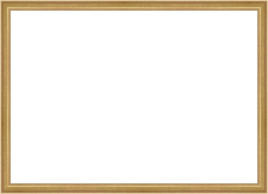 Light Gold Frame. Opening Size: 19x27. Final Size: 20'' X 28''