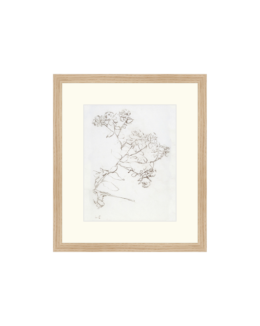 Botanical Study II HoJ