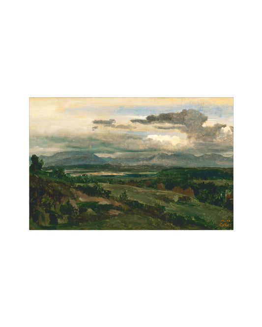 Mountain Field