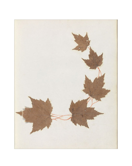 Autumnal  Study I