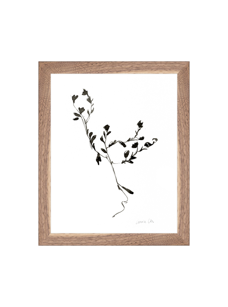 Sketched Botanical HoJ 2