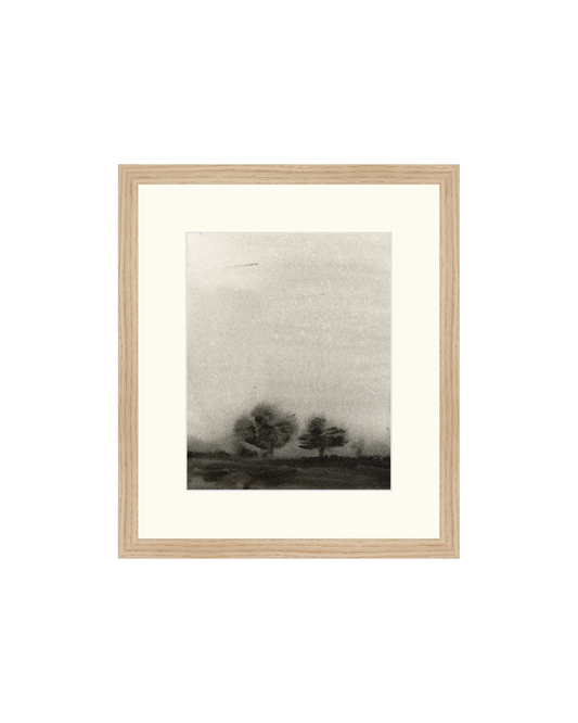 Trees In The Mist OAShop