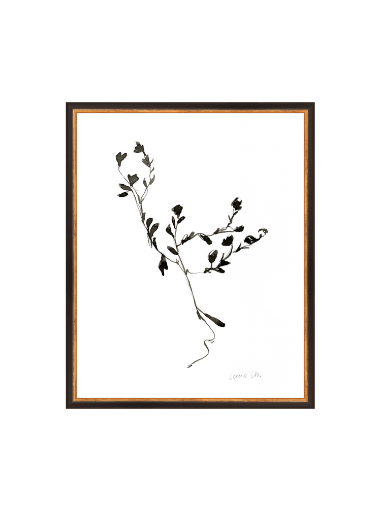 Sketched Botanical HoJ 2