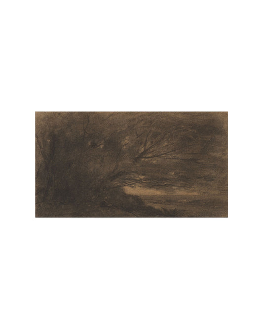 Charcoal Forest