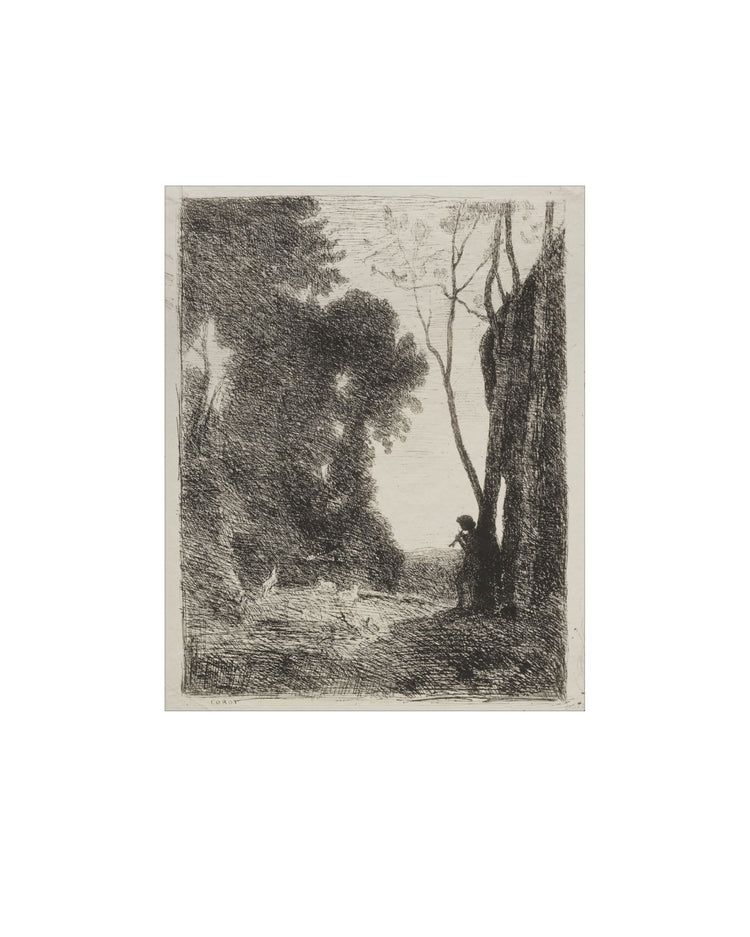 Charcoal Forest II