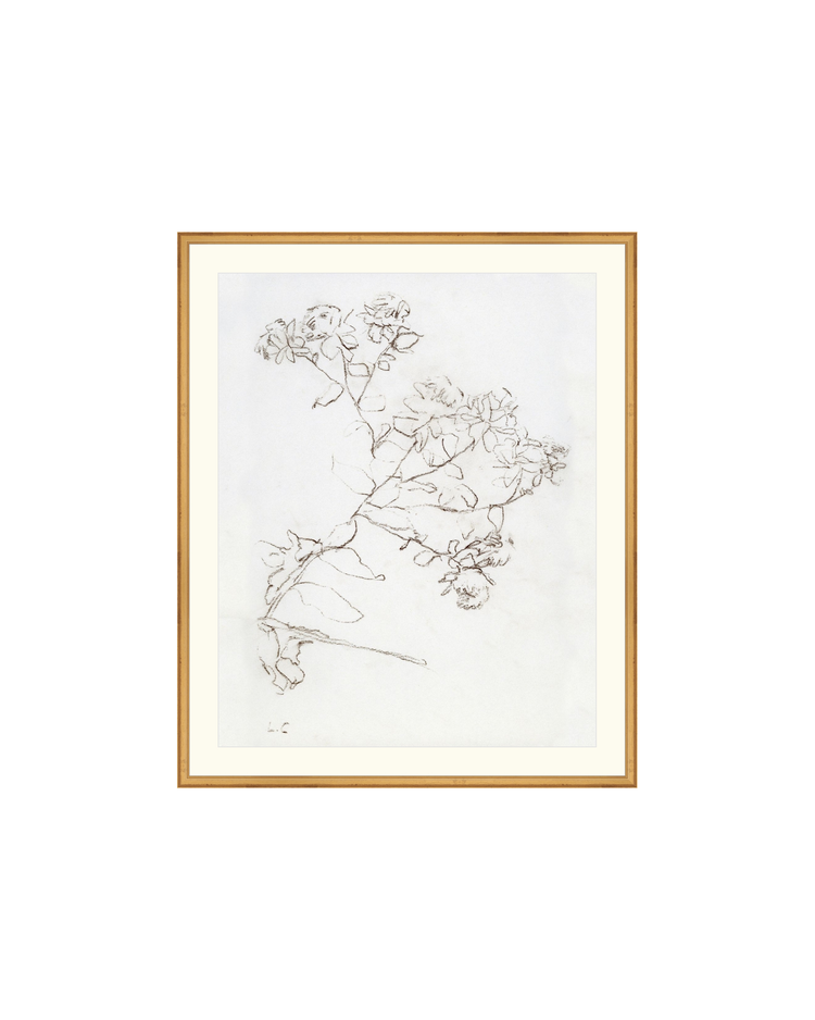 Botanical Study II HoJ