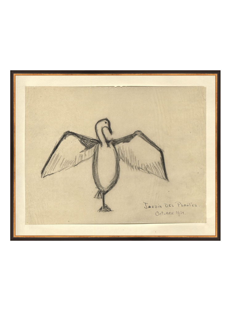 The Great Cormorant HoJ 2