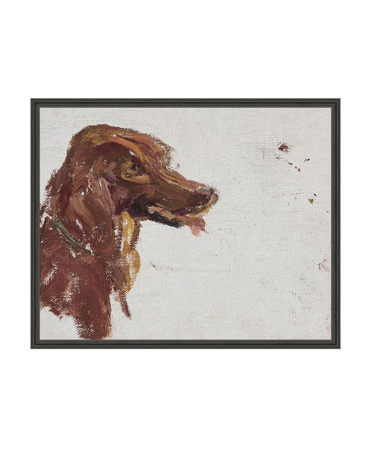 Dog Study