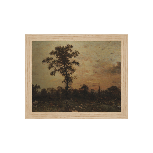 Forest At Dawn AIShop