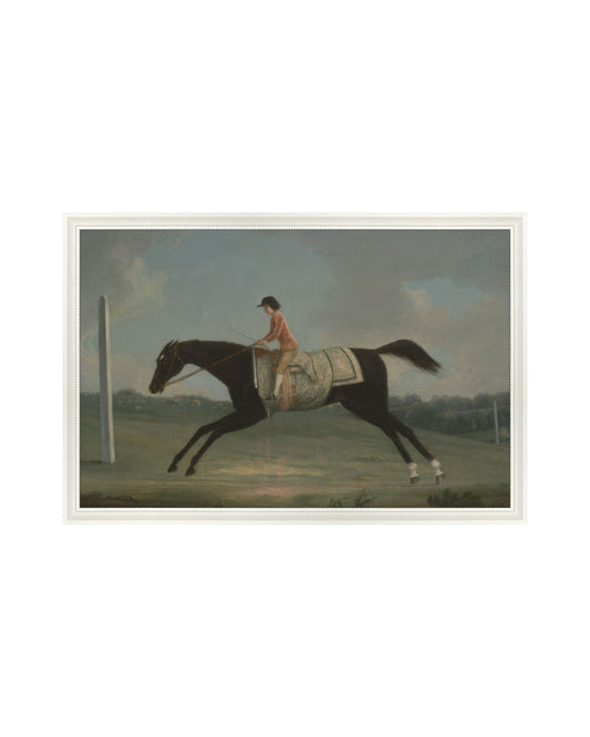 Equine Painting II