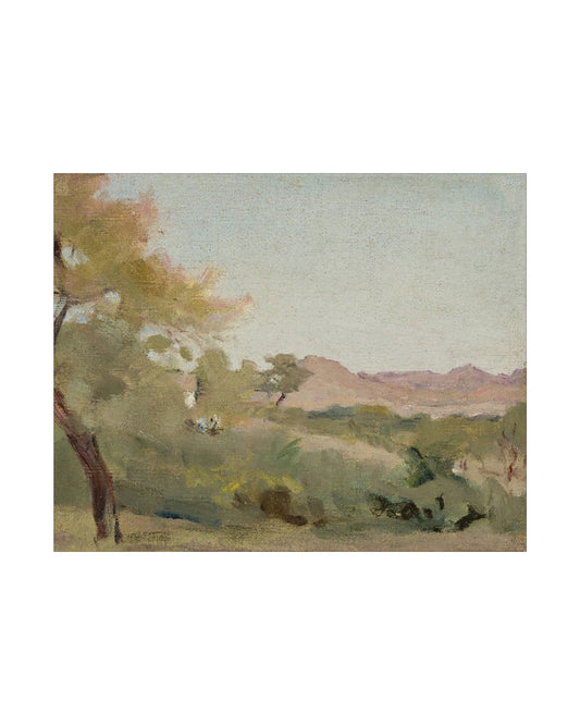 Fields IV
