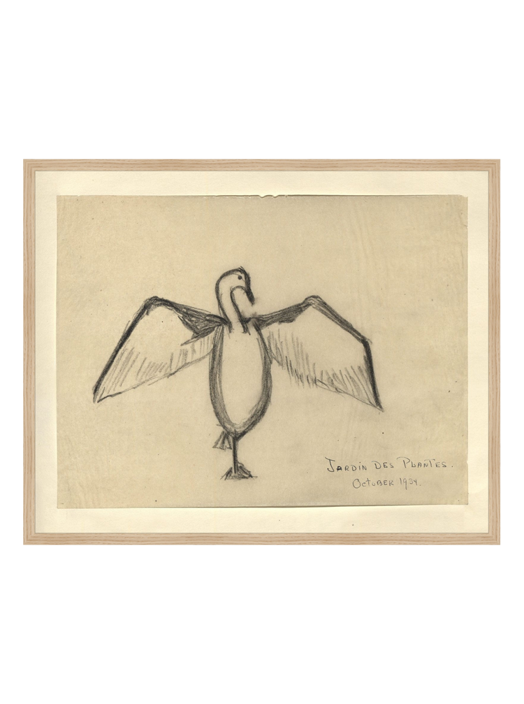 The Great Cormorant HoJ 2