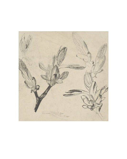 Floral Drawing III