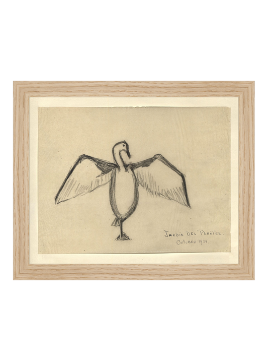 The Great Cormorant HoJ 2