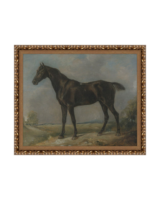 Study of a Horse II