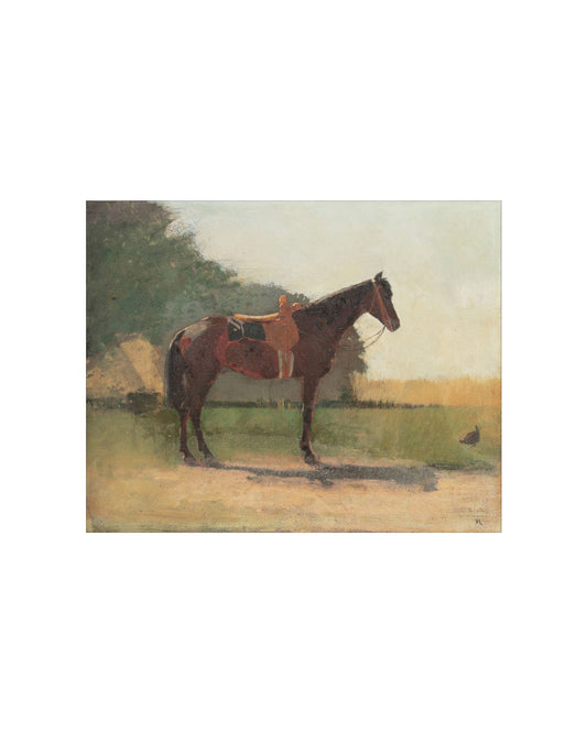 Horse in a Farm