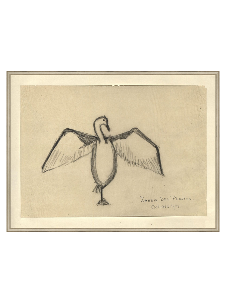 The Great Cormorant HoJ 2