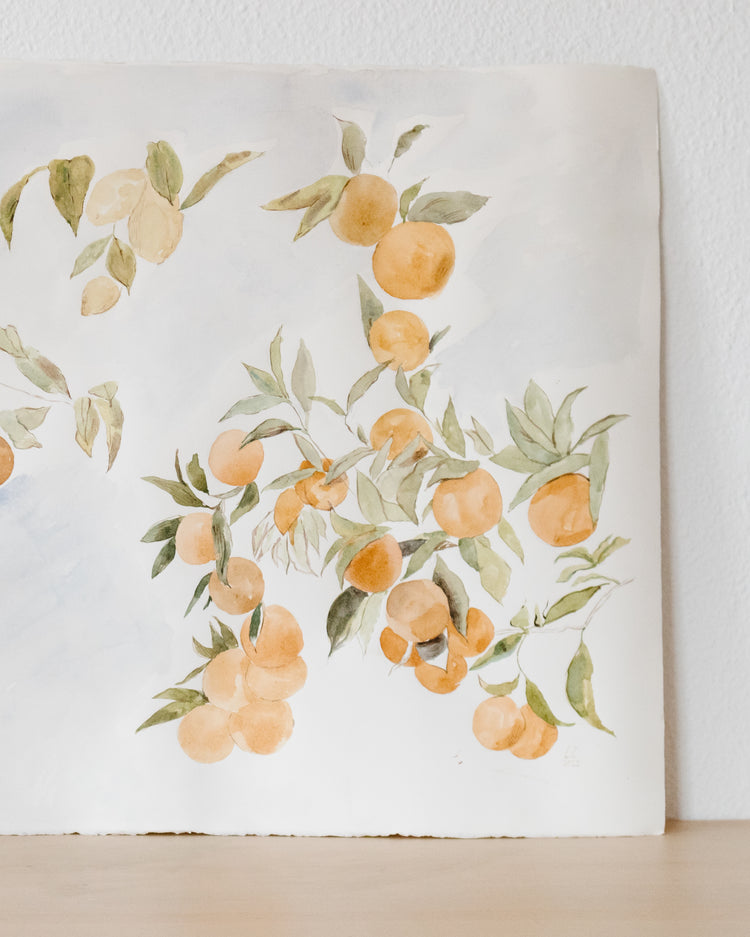 Original Artwork Lemons and Oranges Study