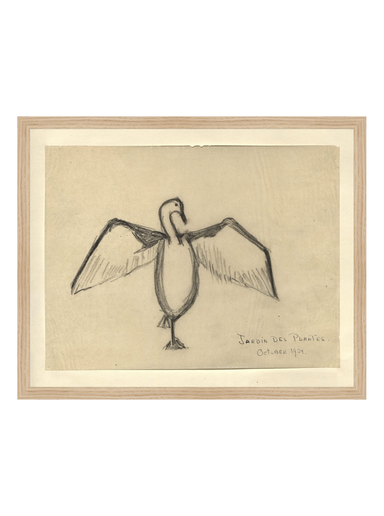 The Great Cormorant HoJ 2