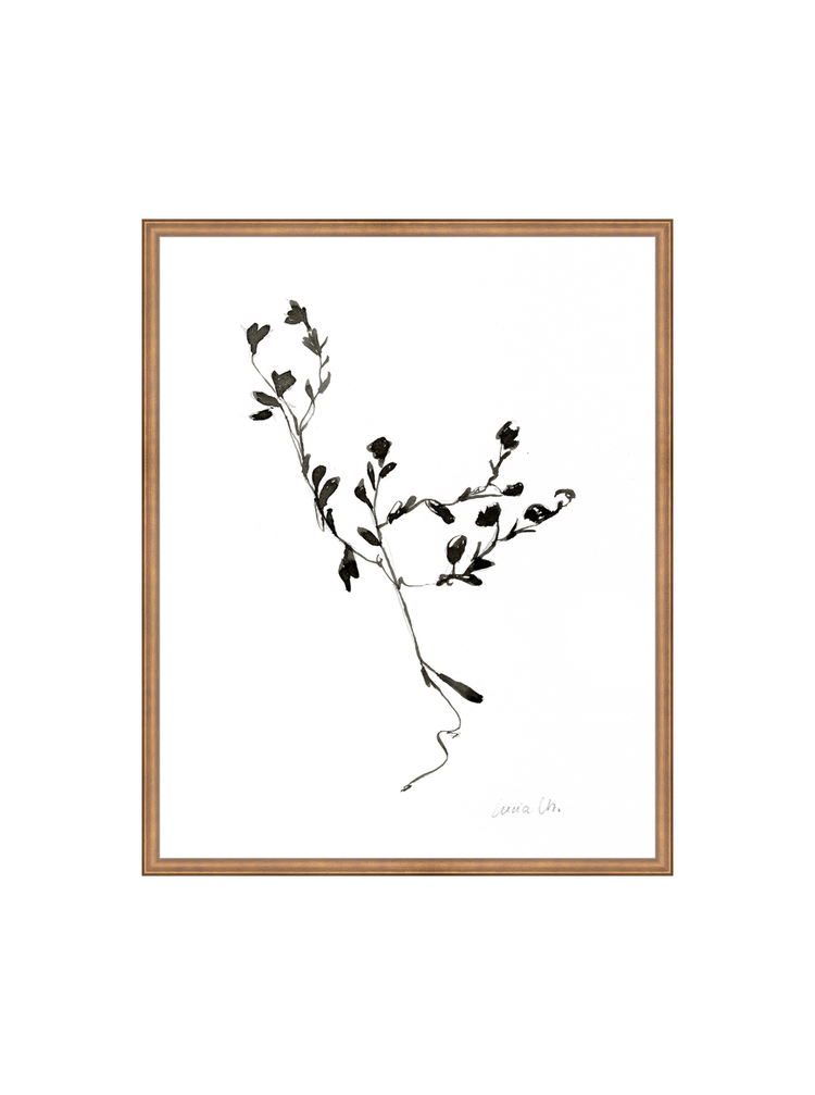 Sketched Botanical HoJ 2