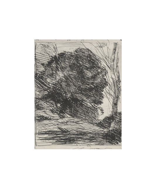 Ink Forest